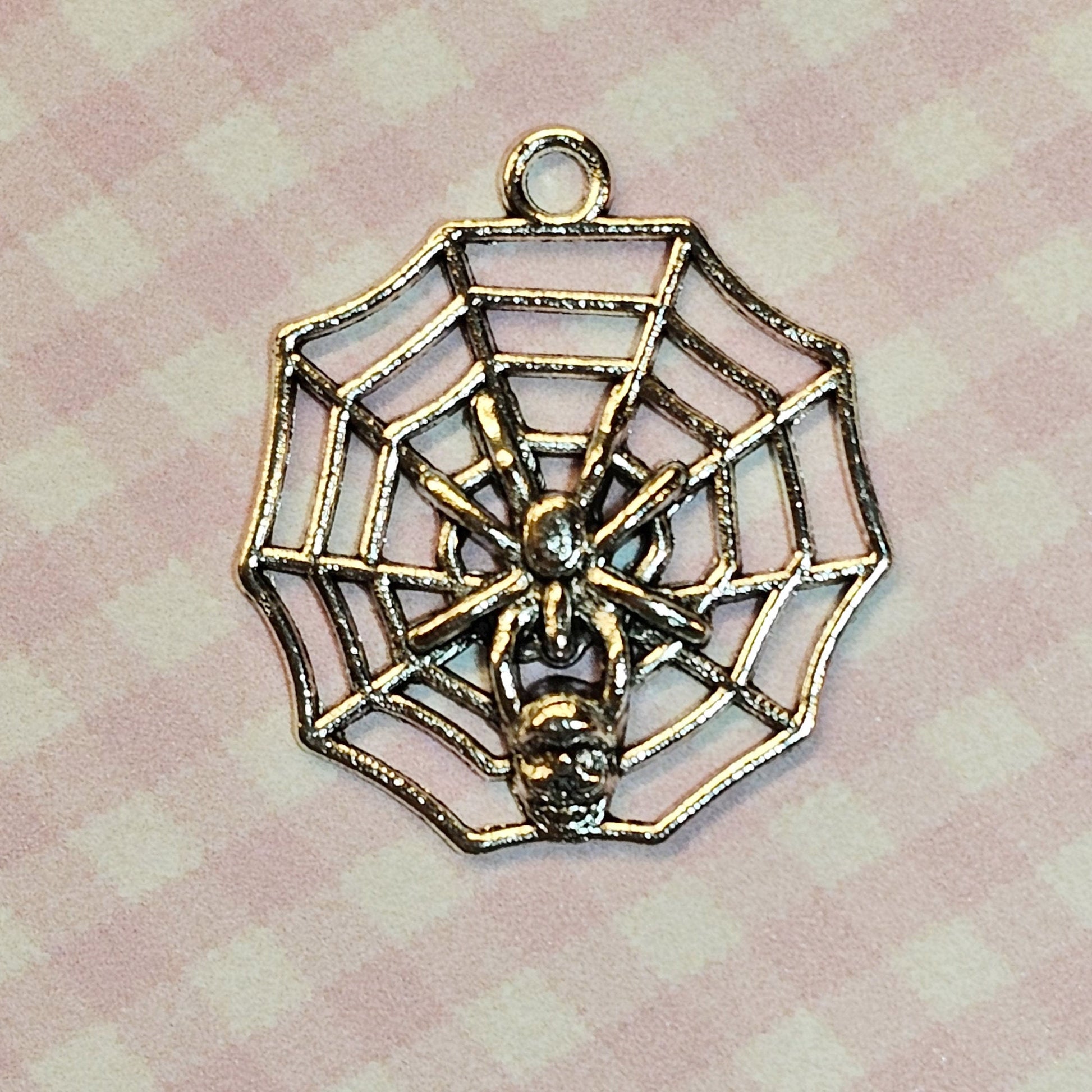 10 pcs Spider Spiderweb Silver Tone Charms, Charm #CM015
