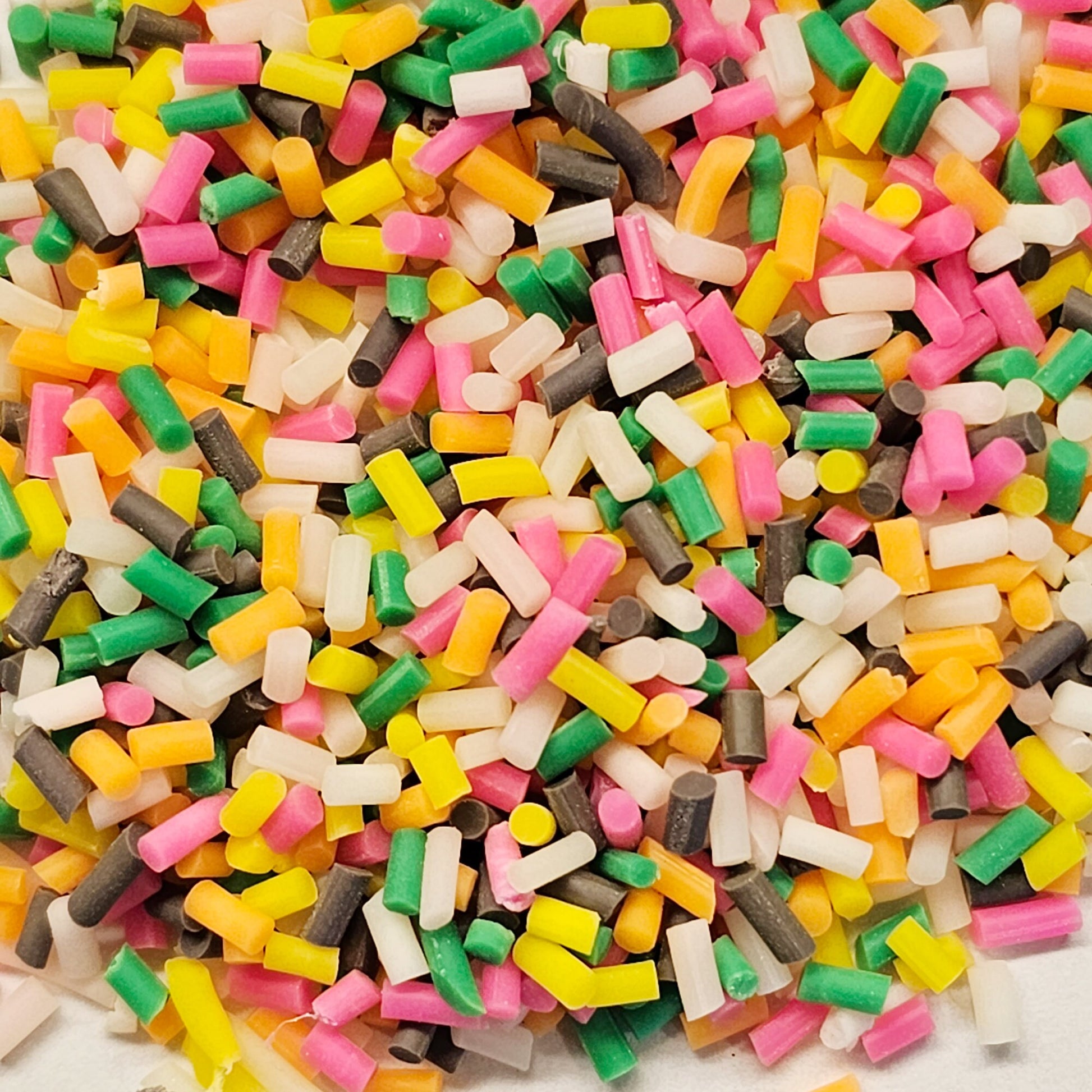 Colorful Polymer Clay Faux Fake sprinkles 20 gram container #SK001