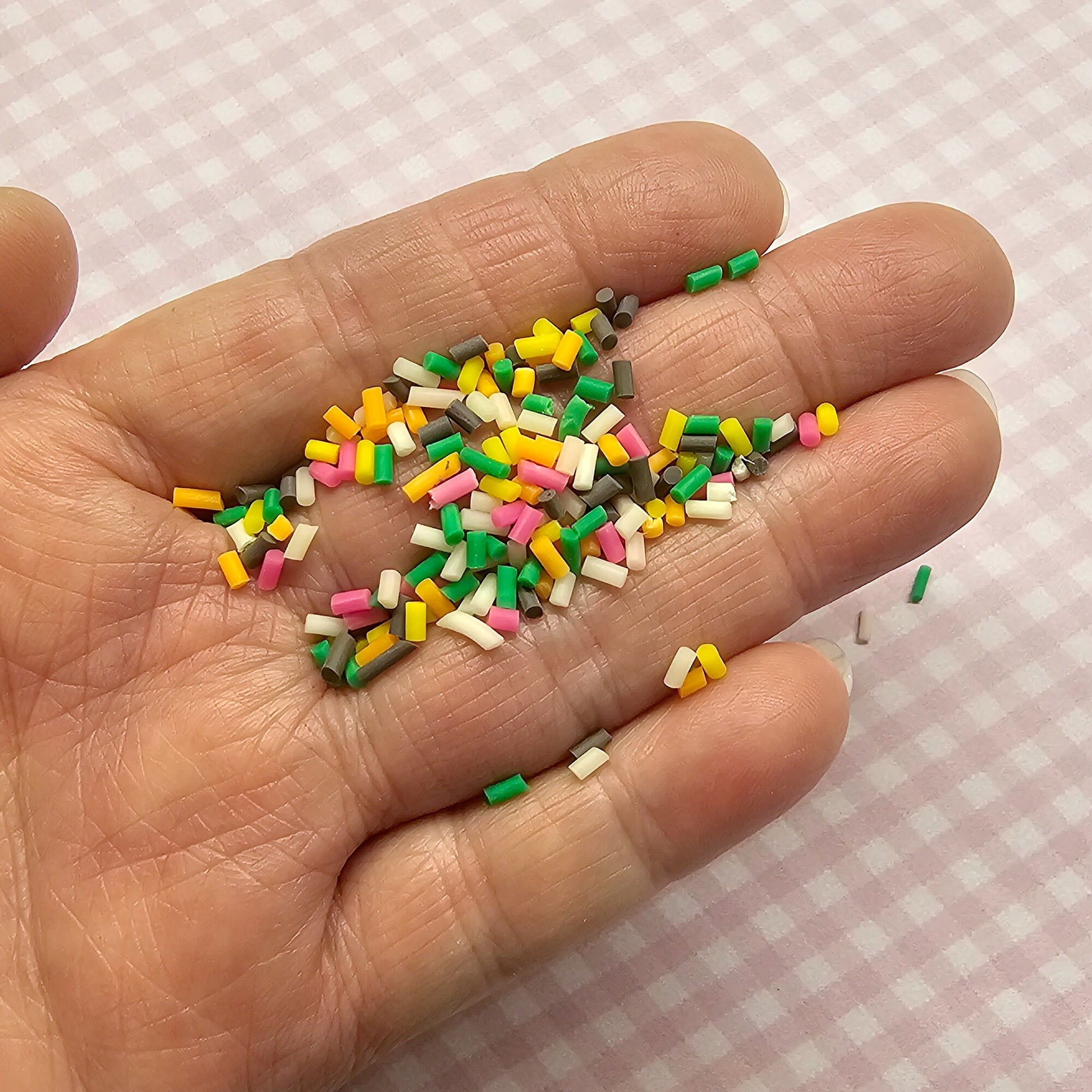 Colorful Polymer Clay Faux Fake sprinkles 20 gram container #SK001
