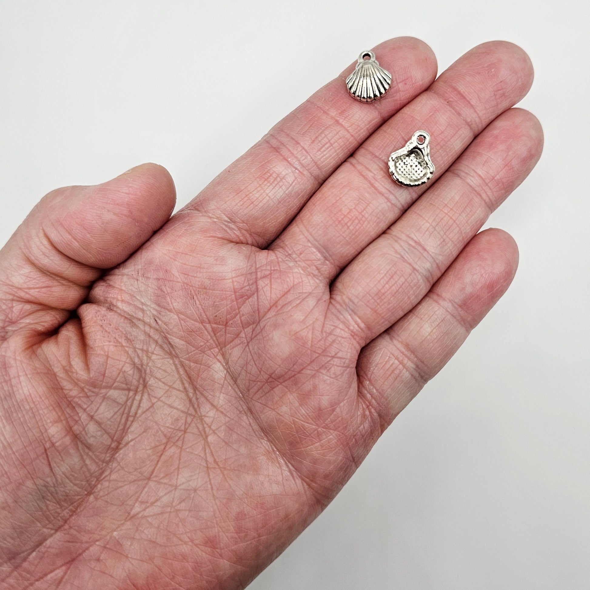 10/25/50 Pcs Seashell Silver Tone Charm, Charms #CM042