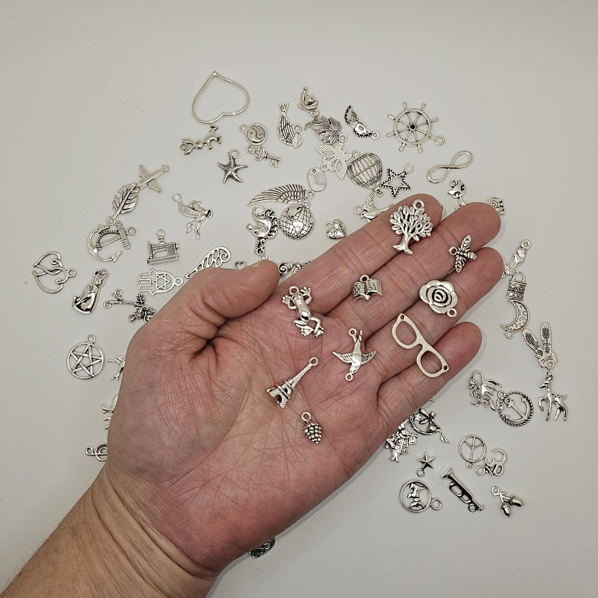 Grab a Bag Mystery 100 pcs Silver Tone Mixed Random Pendant Charm, Charms #CM108