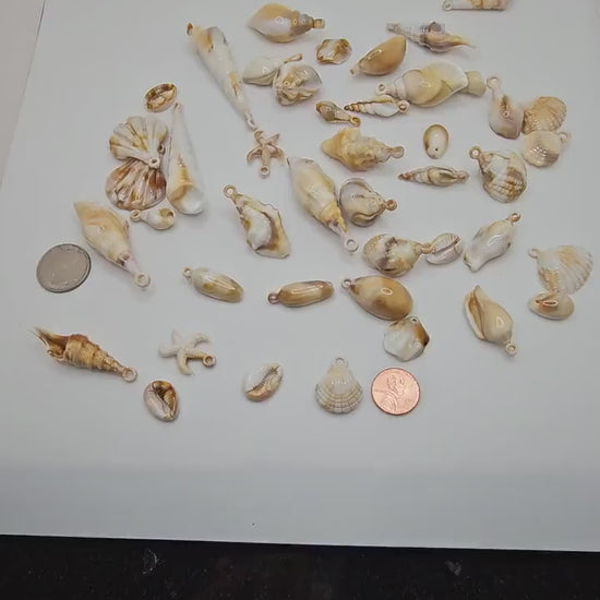 20/50 Pcs Acrylic Seashell Charms Starfish Conch Cowrie Pendants Ocean Sea Charm, Charms #CM101