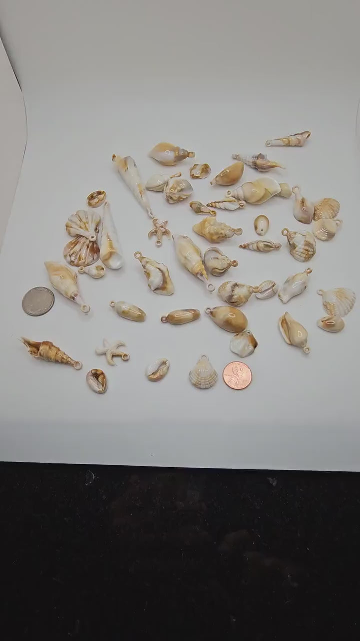 20/50 Pcs Acrylic Seashell Charms Starfish Conch Cowrie Pendants Ocean Sea Charm, Charms #CM101